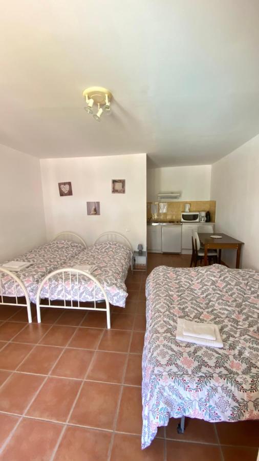 Appartements " Le Clos De La Cerisaie" แกสติญง-ดู-การ์ ภายนอก รูปภาพ